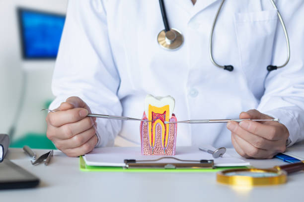 Best Emergency Dentist for Special Needs Patients in Newark, NY